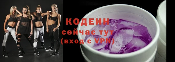 первитин Инта