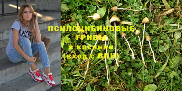 дмт Заводоуковск