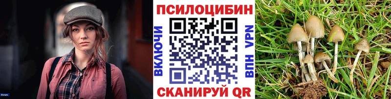 Псилоцибиновые грибы Psilocybine cubensis  купить наркоту  Малоархангельск 